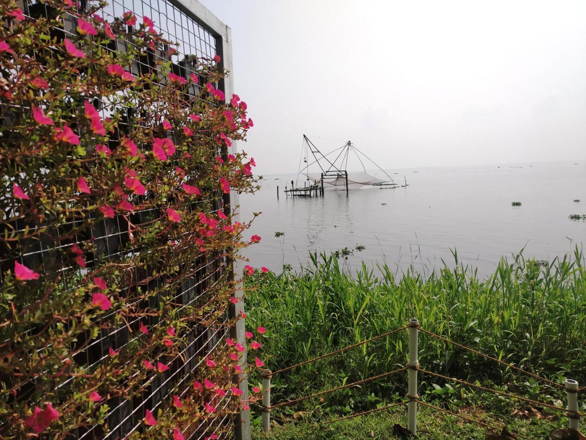 Deshadan Backwater Resort - The Best Sunrise View Alappuzha Buitenkant foto
